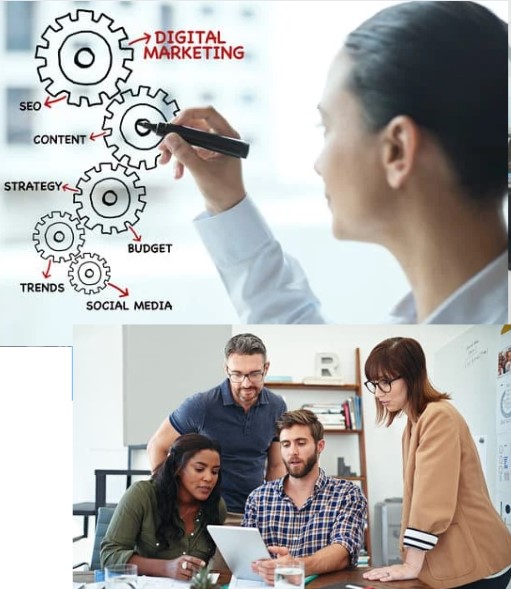Professional Digital Marketing Training Calgary